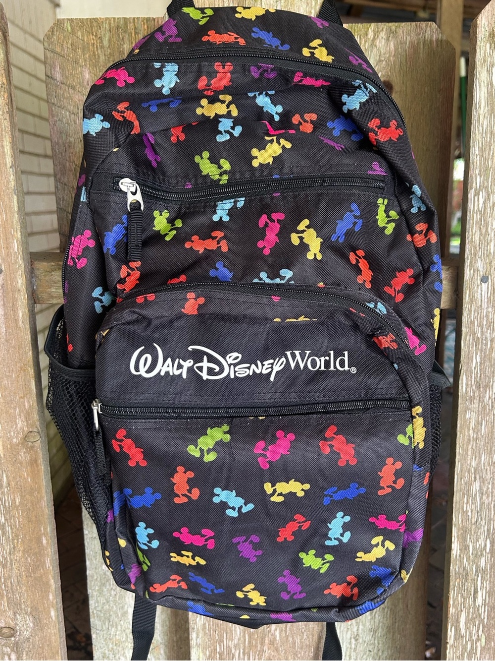 Disney world backpack